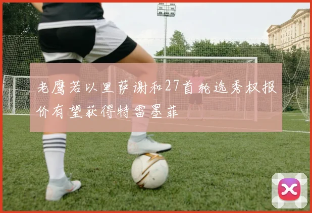 老鹰若以里萨谢和27首轮选秀权报价有望获得特雷墨菲
