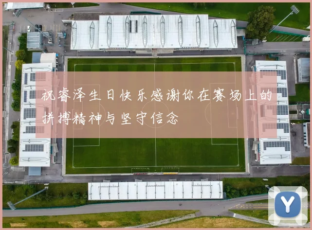 祝睿泽生日快乐感谢你在赛场上的拼搏精神与坚守信念